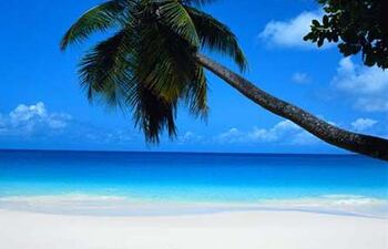 AVA Resort Cancún es un nuevo hotel todo incluido de lujo, que abrirá sus puertas en junio próximo.