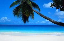 AVA Resort Cancún es un nuevo hotel todo incluido de lujo, que abrirá sus puertas en junio próximo.