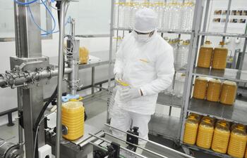 el-huevo-liquido-pasteurizado-se-logra-por-medio-de-un-proceso-de-homogeneizacion-y-pasteurizacion--200040000000-1472296.jpg