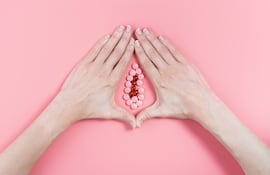 Concepto de vagina.