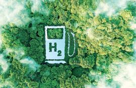 Los biocombustibles poseen un gran potencial en el terreno paraguayo por la disponibilidad de materia prima.