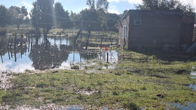 Paisaje rural con agua estancada, árboles y construcción deteriorada, sin presencia de personas visibles.