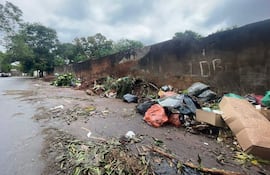 Cúmulo de basura y escombros en una calle desierta, con vegetación y graffiti en una pared de ladrillo al fondo.