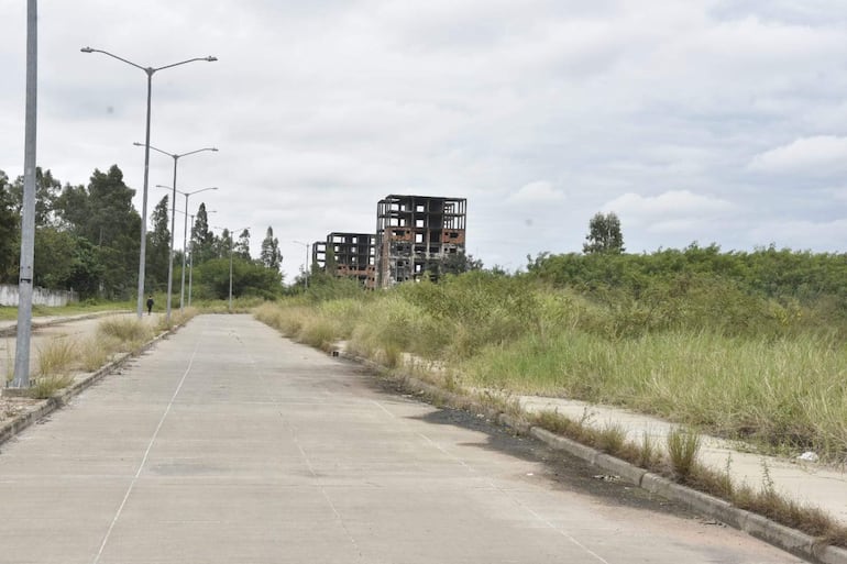 Calle desierta rodeada de maleza, con edificios en estado de abandono y cielo nublado.