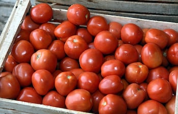 Ayer en el Mercado de Abasto de Asunción se comercializaba la caja de tomate nacional entre G. 90.000 y G. 100.000.