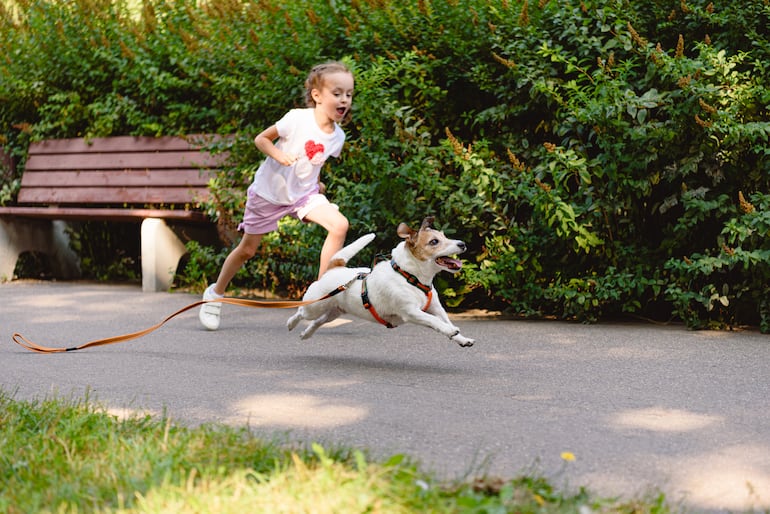 Niña corre tras su perro que intenta escapar.