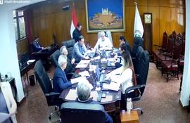 Captura de pantalla de la sesión de hoy, del Consejo de Administración del IPS.