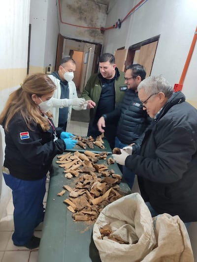 Mujer inspecciona piezas en mesa, usando guantes y mascarilla, mientras cuatro hombres discuten en un ambiente institucional.