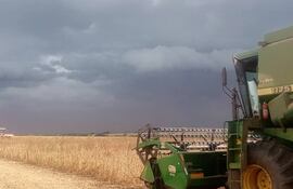 Cosecha de soja en Vaquerías, Caaguazú. Foto posteada en el blog de Agro Parlamento, de Paulo Hermann.