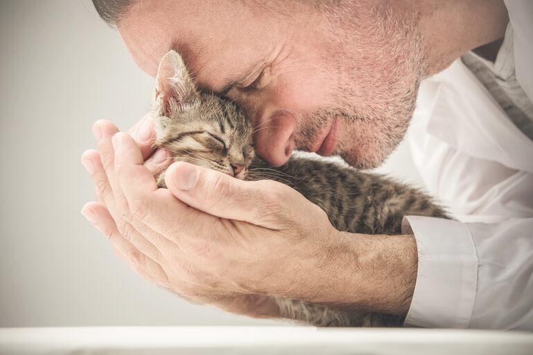 El parpadeo y otros 4 códigos con los que tu gato expresa que te ama - Mascotas