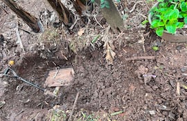 Área excavada con una pala y una caja de madera cubierta de tierra, rodeada de vegetación.