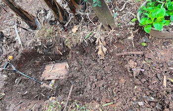Área excavada con una pala y una caja de madera cubierta de tierra, rodeada de vegetación.