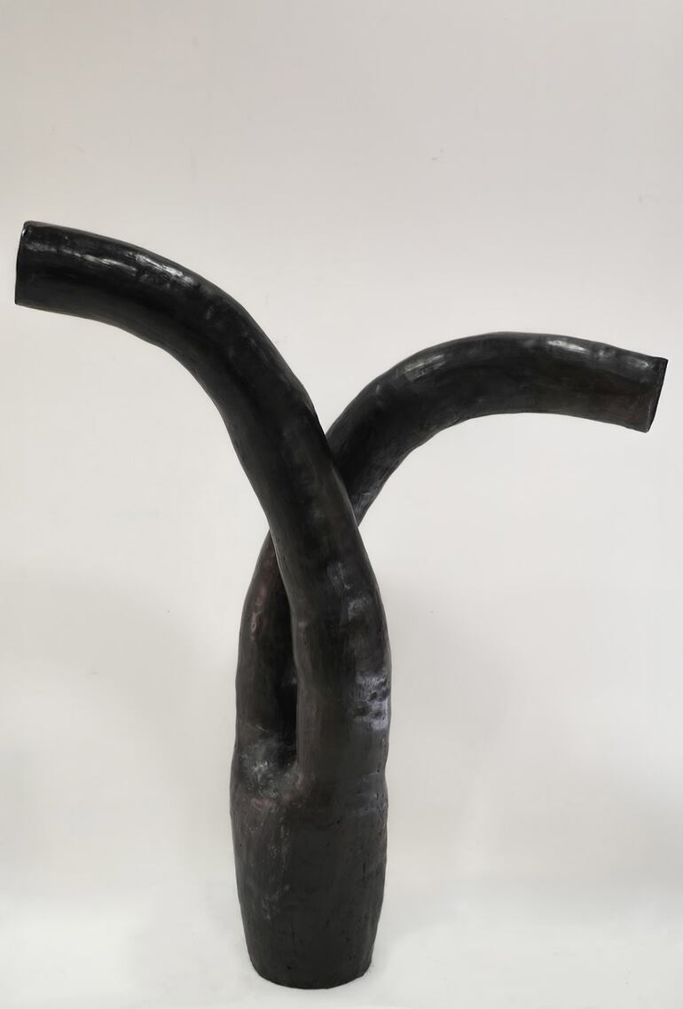 Una de las obras de Christian Ceuppens que se exhibirán en Viedma Galería de Arte.