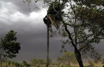tormenta-caazapa-133949000000-393686.JPG