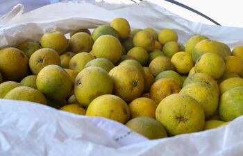 Exportación de pomelo