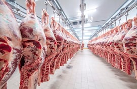 Carne paraguaya pisa fuerte en 
70 países y crece al 37%