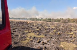 Paisaje devastado por incendio en San Ignacio, con suelo carbonizado y humo dispersándose entre árboles afectados.