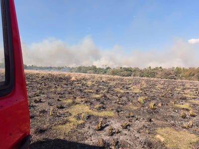 Paisaje devastado por incendio en San Ignacio, con suelo carbonizado y humo dispersándose entre árboles afectados.