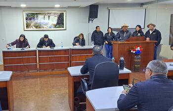 Los concejales de los distritos de Santa Rita y San Cristóbal durante la audiencia pública en la Junta Departamental.