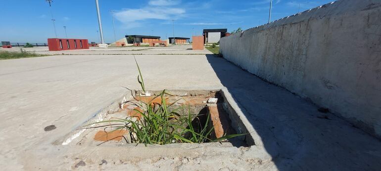 Enormes agujeros ocultos entre yuyos están por toda la Costanera Sur.