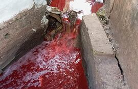 Este cauce de agua que viene de la calle Jerusalén está teñido de rojo desde hace varios días, y se desemboca en el arroyo San Lorenzo.