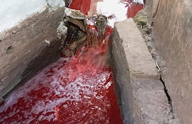 Este cauce de agua que viene de la calle Jerusalén está teñido de rojo desde hace varios días, y se desemboca en el arroyo San Lorenzo.