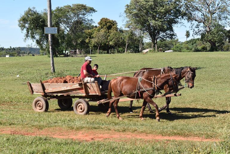 
El cachapé sigue siendo el medio de transporte más utilizado de los colonos de esta ciudad 