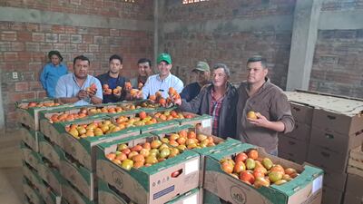 El titular del MAG, Carlos Giménez, junto a productores, muestran los tomates que fueron enviados a la Argentina.