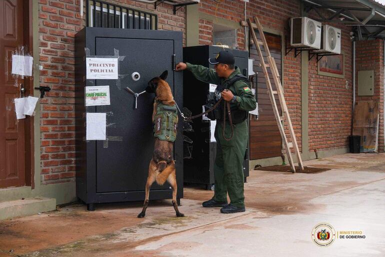 Agente policial en uniforme verde guía a un perro en la inspección de una caja fuerte negra marcada con precinto policial.