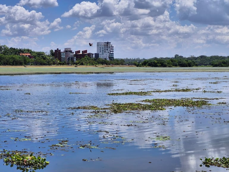 Alerta en Encarnación y Cambyretá por posible contaminación del arroyo Poti’y