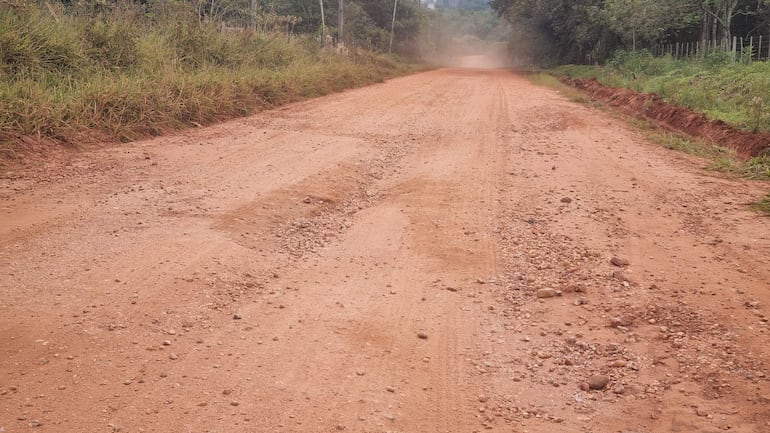 Camino de tierra sin mantenimiento en Ibáñez Rojas, rodeado de vegetación y polvo levantado por vehículos.