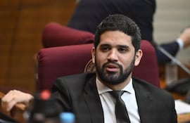 Diputado Raúl Benítez (Partido Encuentro Nacional-PEN).