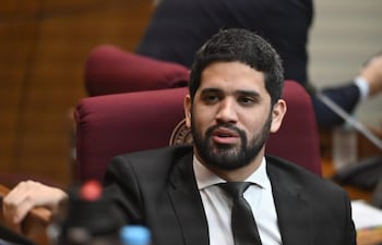 Diputado Raúl Benítez (Partido Encuentro Nacional-PEN).