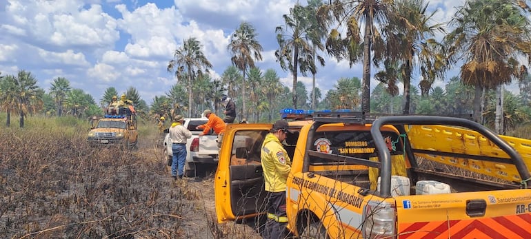 Bomberos de diversas ciudades trabajaron para sofocar el fuego.