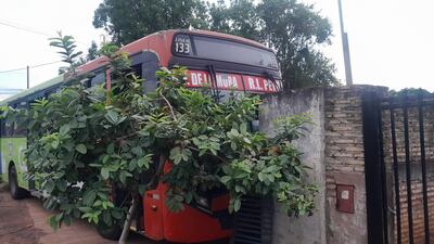 Unidad de la línea 133 que chocó contra una vivienda en Ñemby.