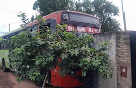 Unidad de la línea 133 que chocó contra una vivienda en Ñemby.