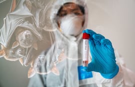 Virus Nipah, imagen ilustrativa.