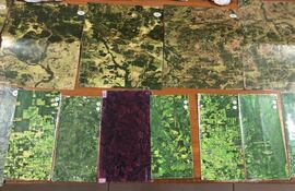 Los mapas georeferenciales que se presume utilizaba la ACA-EP para operar en el norte.