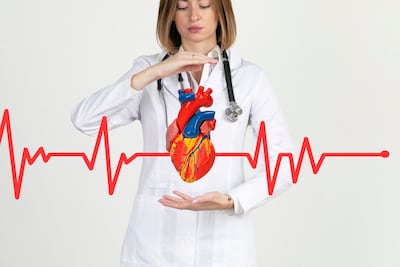 Médico sostiene un modelo de corazón.