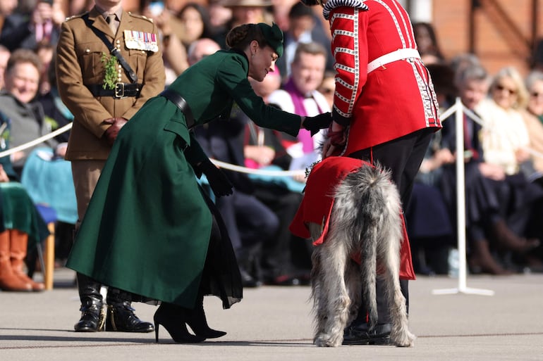 Kate Middleton le entrega a Seamus, el perro lobo irlandés, mascota del regimiento, una ramita de trébol durante su visita al cuartel de Mons, en Aldershot. (Adrian DENNIS / AFP)