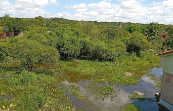 Parte del patio inundado en la Escuela Básica N° 3883 María Auxiliadora, de Isla Valle, en Areguá.
