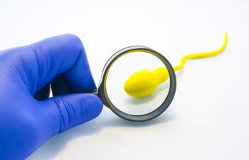 ¿Es reversible la vasectomía?