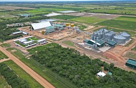 La industria aceitera de Pioneros del Chaco S.A.,