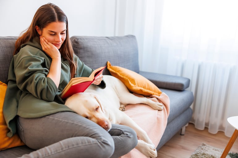 ¿Tu perro apoya su cabeza en tu regazo?
