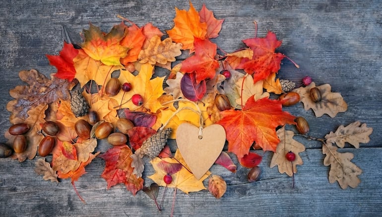 Concepto de inicio del otoño.