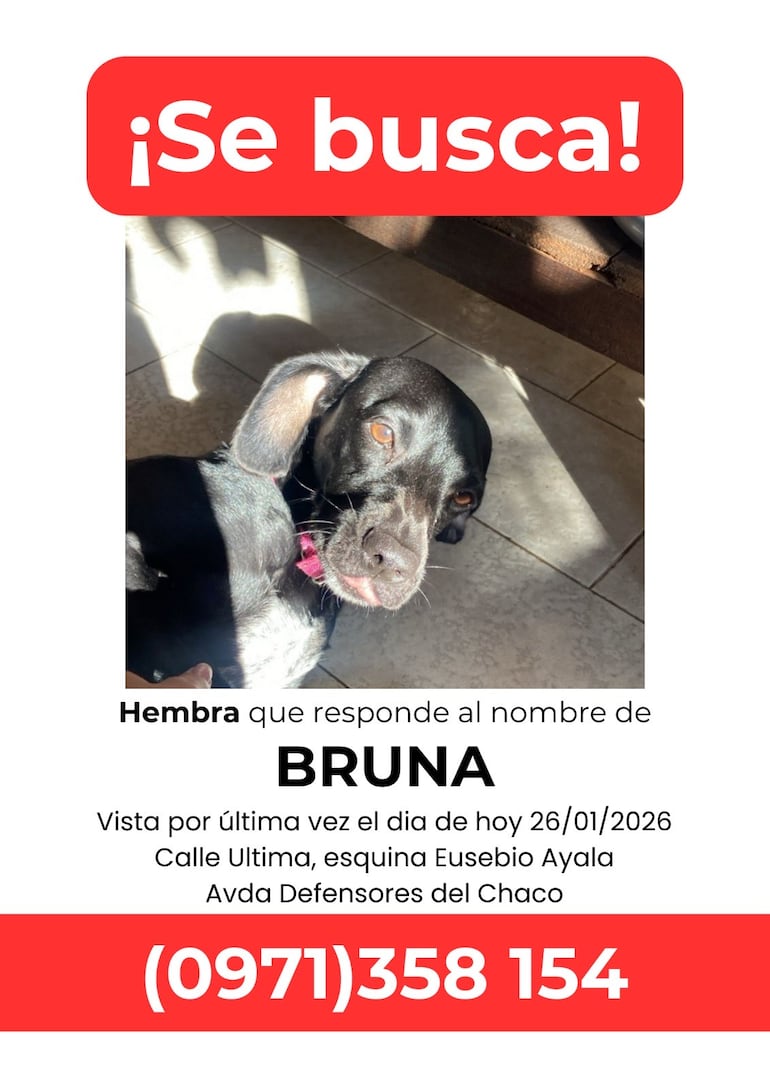Bruna se perdió en la intersección de Calle Última y Eusebio Ayala.