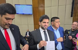 Los diputados Mauricio Espínola, Raúl Benítez y Hugo Meza presentaron el proyecto.