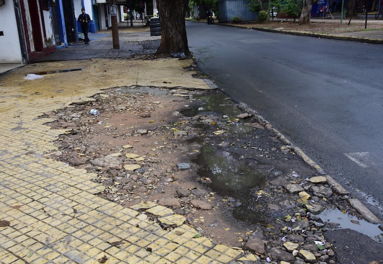 Recapado avenida Quinta 10/10/24