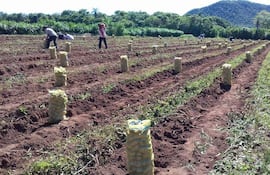 Productores exigen al Gobierno garantías con respecto a las negociaciones con la Unión Europea.