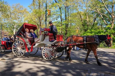 Nueva York se encamina a poner fin a los tradicionales paseos en carruajes tirados por caballos, una de las estampas turísticas de Central Park, después de que el alcalde, Zohran Mamdani, y la presidenta del Concejo Municipal, Julie Menin, alcanzaran un acuerdo para prohibir esta actividad a partir de junio de 2028.